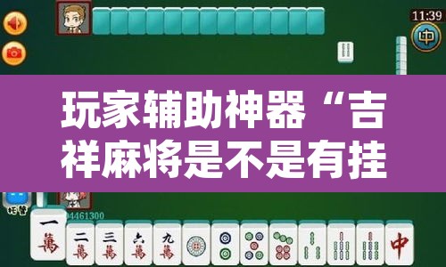 玩家辅助神器“吉祥麻将是不是有挂	”(透视)其实确实有挂