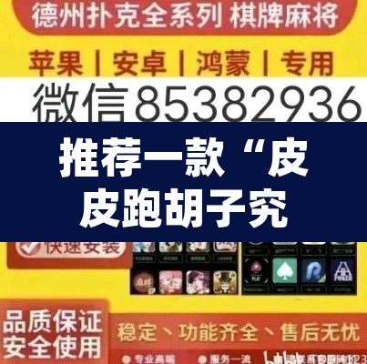 推荐一款“皮皮跑胡子究竟有挂吗”(透视挂)辅助透视教程