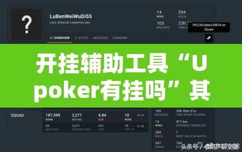 开挂辅助工具“Upoker有挂吗”其实确实有挂