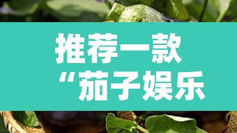 推荐一款“茄子娱乐开挂”其实确实有挂