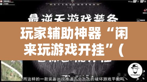 玩家辅助神器“闲来玩游戏开挂	”(透视)其实确实有挂