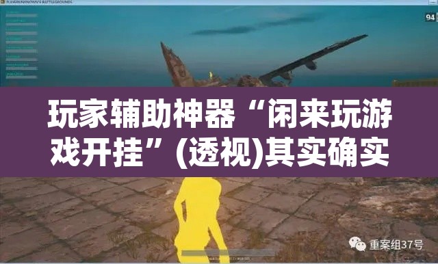 玩家辅助神器“闲来玩游戏开挂”(透视)其实确实有挂