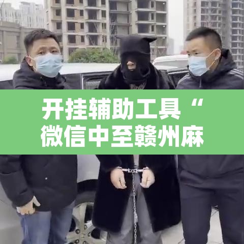 开挂辅助工具“微信中至赣州麻将开挂器	”其实确实有挂