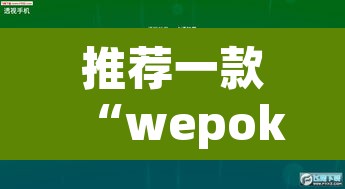推荐一款“wepoker德州局透视挂辅助软件”其实确实有挂