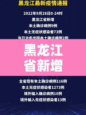 黑龙江省新增9例本土确诊 → 黑龙江新增本土确诊病历