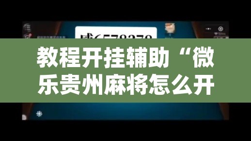 教程开挂辅助“微乐贵州麻将怎么开挂”(透视)其实确实有挂