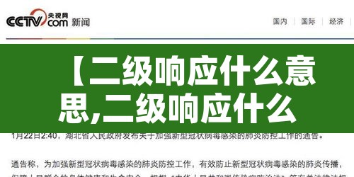 【二级响应什么意思,二级响应什么意思啊】