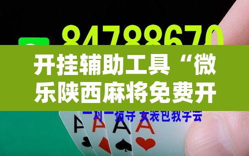 开挂辅助工具“微乐陕西麻将免费开挂神器”(透视)其实确实有挂