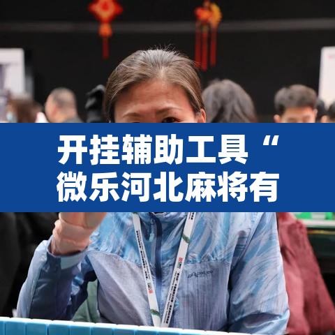 开挂辅助工具“微乐河北麻将有挂吗”其实确实有挂