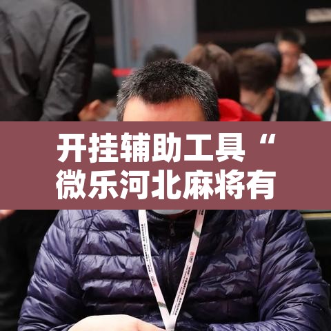 开挂辅助工具“微乐河北麻将有挂吗”其实确实有挂