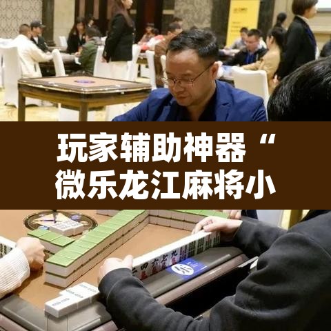 玩家辅助神器“微乐龙江麻将小程序挂”其实确实有挂