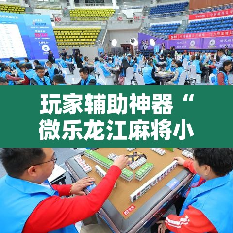 玩家辅助神器“微乐龙江麻将小程序挂	”其实确实有挂
