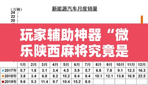 玩家辅助神器“微乐陕西麻将究竟是如何开挂”附辅助神器开挂脚本详细步骤
