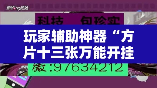 玩家辅助神器“方片十三张万能开挂器”附辅助神器开挂脚本详细步骤