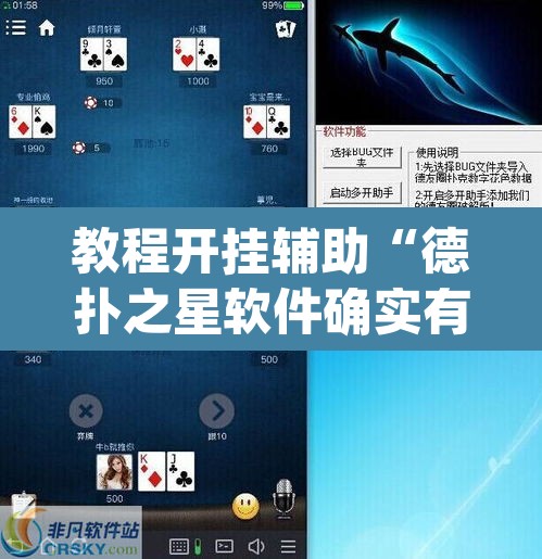 教程开挂辅助“德扑之星软件确实有辅助”(透视)其实确实有挂