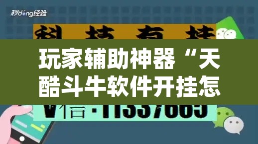 玩家辅助神器“天酷斗牛软件开挂怎么开”(透视)其实确实有挂