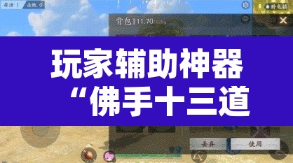 玩家辅助神器“佛手十三道开挂辅助软件”其实确实有挂