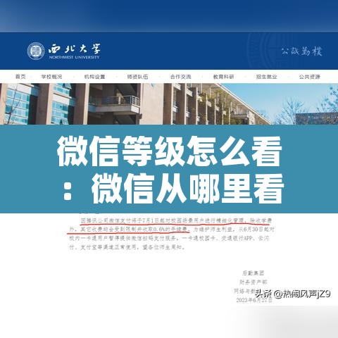 微信等级怎么看:微信从哪里看等级 微信等级怎么看:微信从哪里看等级