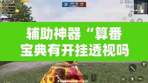 辅助神器“算番宝典有开挂透视吗	”(透视挂)辅助透视教程