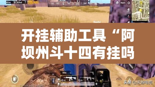 开挂辅助工具“阿坝州斗十四有挂吗	”(透视)其实确实有挂