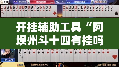 开挂辅助工具“阿坝州斗十四有挂吗”(透视)其实确实有挂