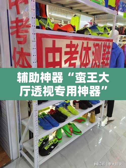 辅助神器“蛮王大厅透视专用神器”其实确实有挂