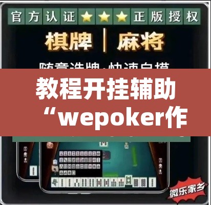 教程开挂辅助“wepoker作弊辅助软件”开挂辅助脚本+详细开挂安装教程