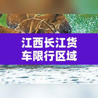 江西长江货车限行区域—(九江长江大桥货车可以走吗2020) 江西长江货车限行区域—(九江长江大桥货车可以走吗2020)