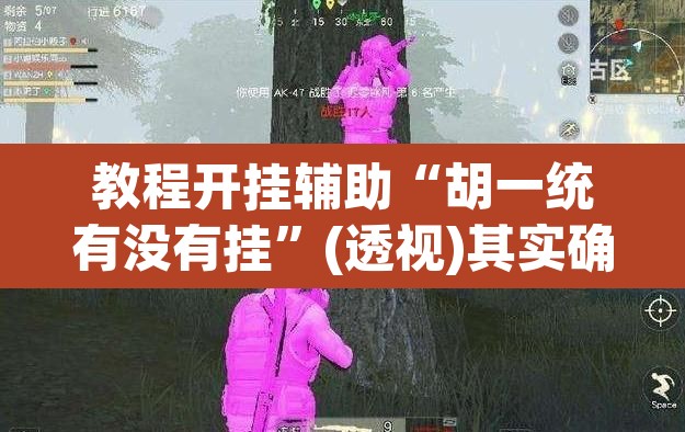 教程开挂辅助“胡一统有没有挂”(透视)其实确实有挂