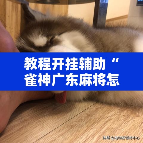 教程开挂辅助“雀神广东麻将怎么打才能赢	”附辅助神器开挂脚本详细步骤
