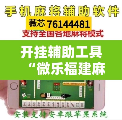 开挂辅助工具“微乐福建麻将怎么开挂”(透视挂)辅助透视教程