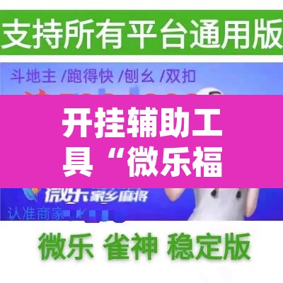 开挂辅助工具“微乐福建麻将怎么开挂”(透视挂)辅助透视教程