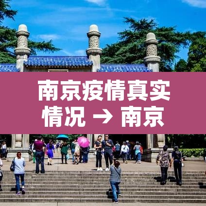 南京疫情真实情况 → 南京疫情具体情况 南京疫情真实情况 → 南京疫情具体情况
