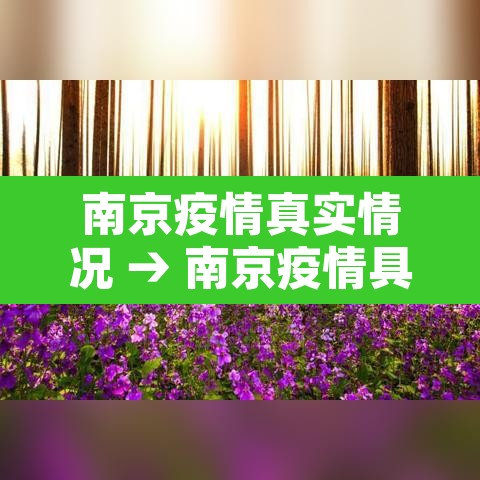 南京疫情真实情况 → 南京疫情具体情况 南京疫情真实情况 → 南京疫情具体情况