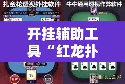 开挂辅助工具“红龙扑克确实可以开挂	”(透视)其实确实有挂