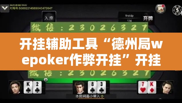 开挂辅助工具“德州局wepoker作弊开挂”开挂辅助脚本+详细开挂安装教程