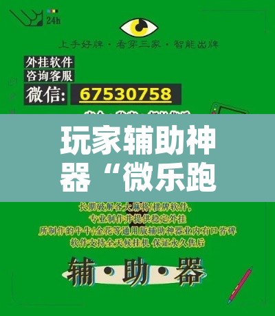 玩家辅助神器“微乐跑得快开挂视频	”附辅助神器开挂脚本详细步骤