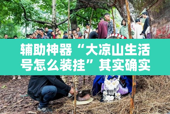 辅助神器“大凉山生活号怎么装挂”其实确实有挂