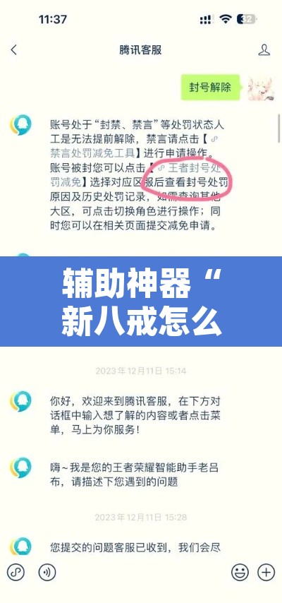 辅助神器“新八戒怎么开挂”附辅助神器开挂脚本详细步骤