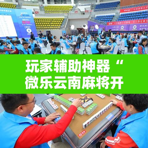 玩家辅助神器“微乐云南麻将开挂教程	”其实确实有挂