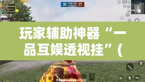 玩家辅助神器“一品互娱透视挂”(透视挂)辅助透视教程