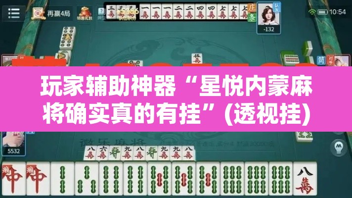 玩家辅助神器“星悦内蒙麻将确实真的有挂	”(透视挂)辅助透视教程