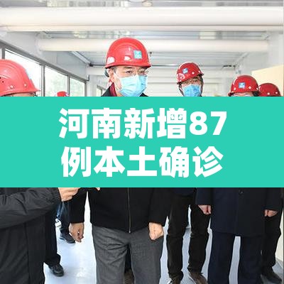河南新增87例本土确诊病例—(河南新增87例本土确诊病例分布) 河南新增87例本土确诊病例—(河南新增87例本土确诊病例分布)