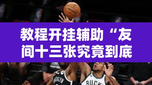 教程开挂辅助“友间十三张究竟到底有没有挂	”(透视挂)辅助透视教程