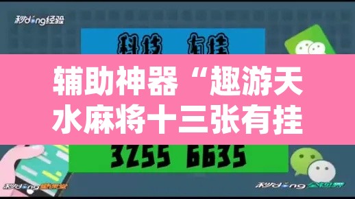 辅助神器“趣游天水麻将十三张有挂吗”(透视挂)辅助透视教程