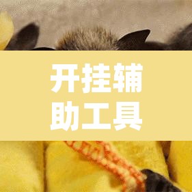 开挂辅助工具“有间麻将馆有没有挂	”(透视)其实确实有挂