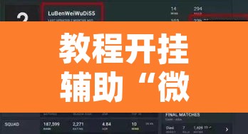 教程开挂辅助“微乐干瞪眼有透视吗”其实确实有挂