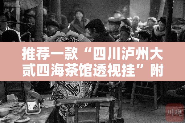 推荐一款“四川泸州大贰四海茶馆透视挂	”附辅助神器开挂脚本详细步骤