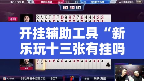 开挂辅助工具“新乐玩十三张有挂吗”其实确实有挂
