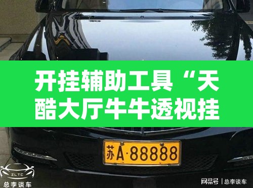 开挂辅助工具“天酷大厅牛牛透视挂软件	”(透视挂)辅助透视教程